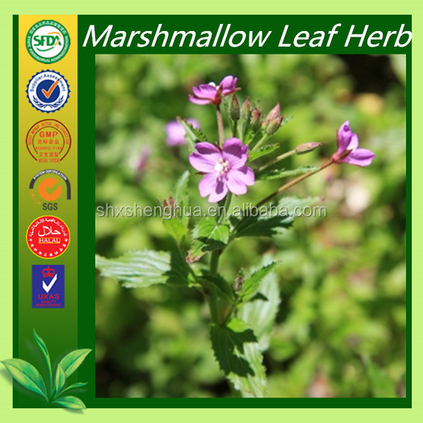 Free sample Raw Material Common Marshmallow