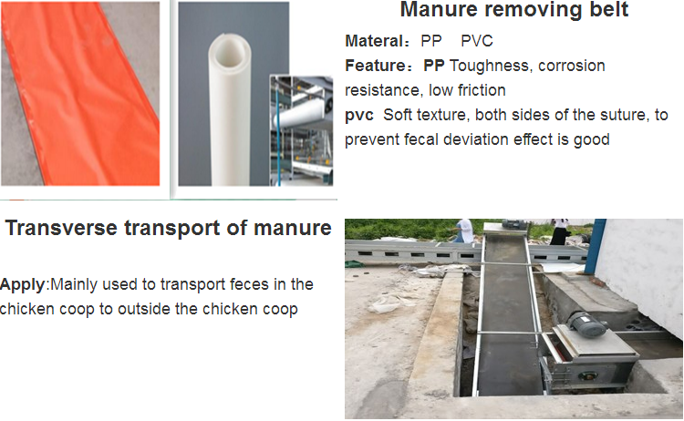 Manure removing system,2017 new manure removing system,Automatic Chicken Manure Removing System