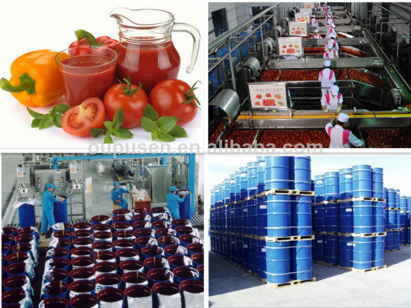 Tomato Sauce in drum tomato sauce