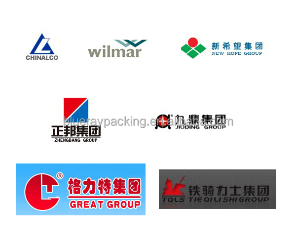 Factory direct sale high quality electric type cinnamon packing equipment bagging machine for sale
