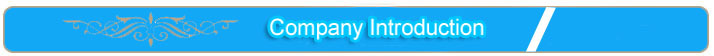 companyintro.jpg
