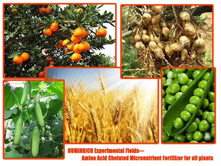 Chelated Zinc Fertilizer.jpg