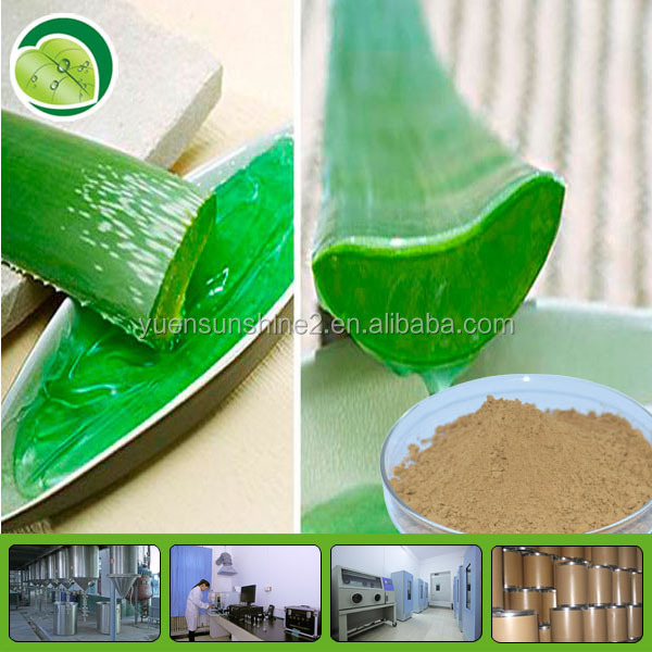 low price and high quality 100% natural plant extract aloe vera extract powder