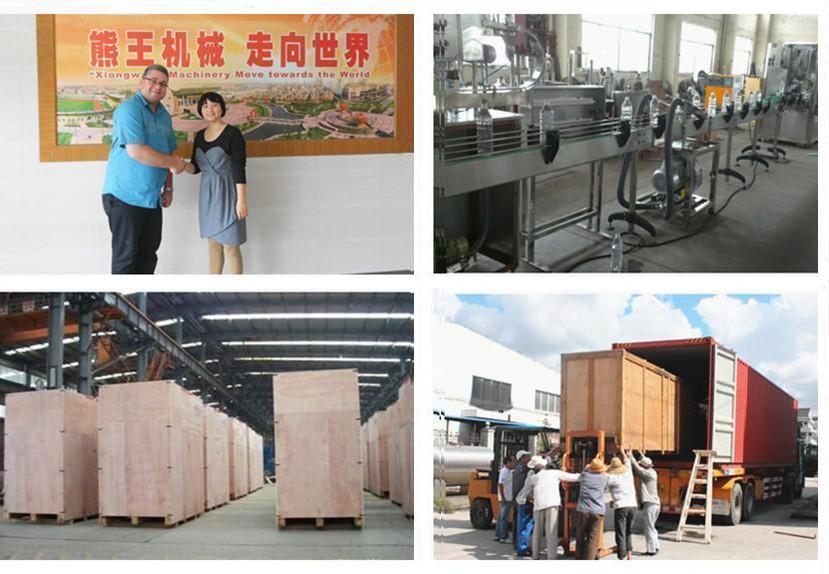 Economic bottled fruit juice making machine (Hot sale)