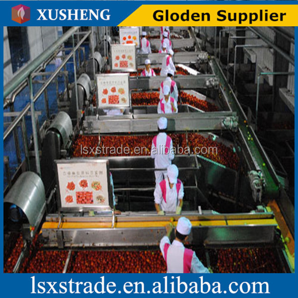 Light red tomato paste hot sell good price (B)