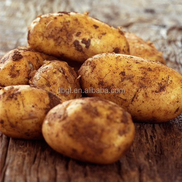In 2014,The new high quality fresh potatoes worth your choose and buy