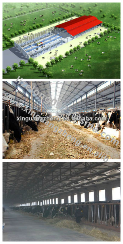 Piggery Business Plan