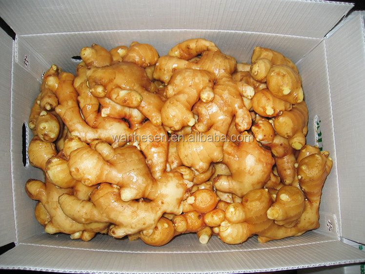 air dry ginger - fresh ginger market in China