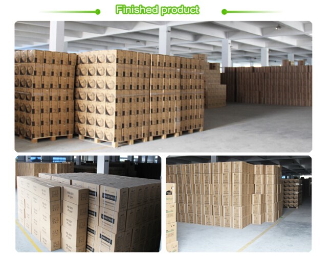 HONGBANG FACTORY 01.jpg