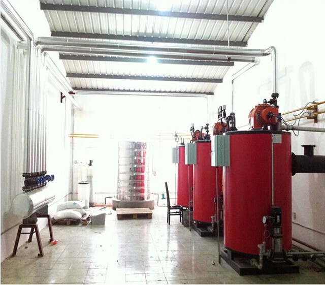 gas steam boiler