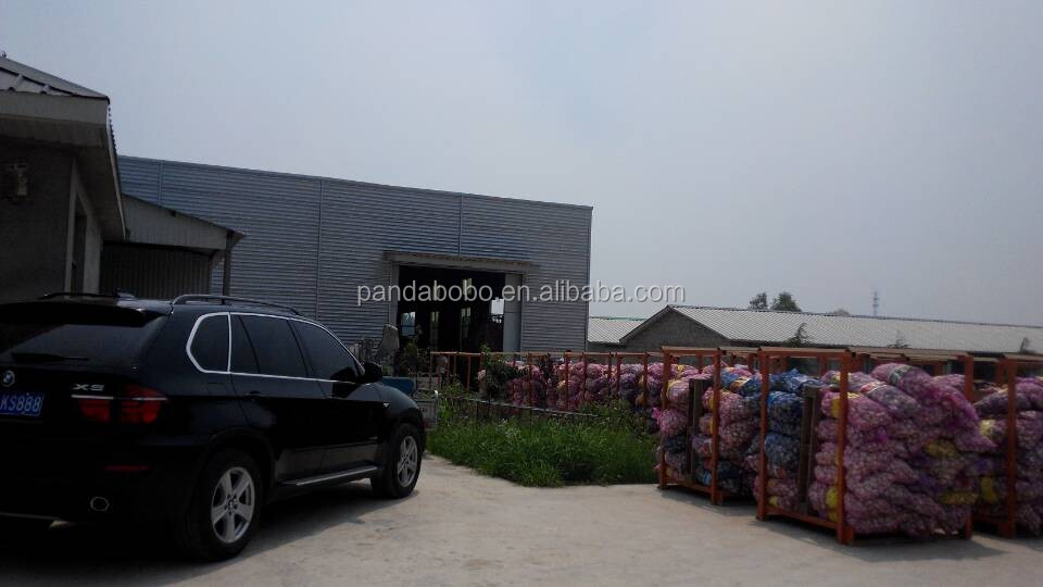 2014 new crop fresh normal /pure white garlic in low price as a wholesale supplier and exporter in china