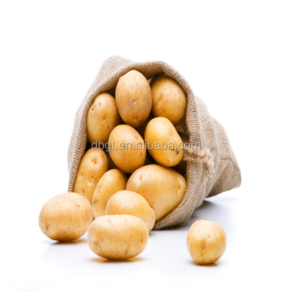 frozen potato net bag packing/potato cold storage