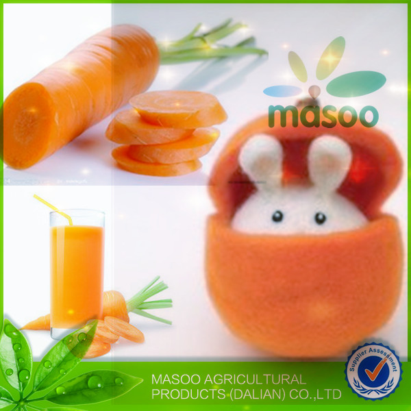 Local fresh plush red carrot /export price for chinese fresh red carrot