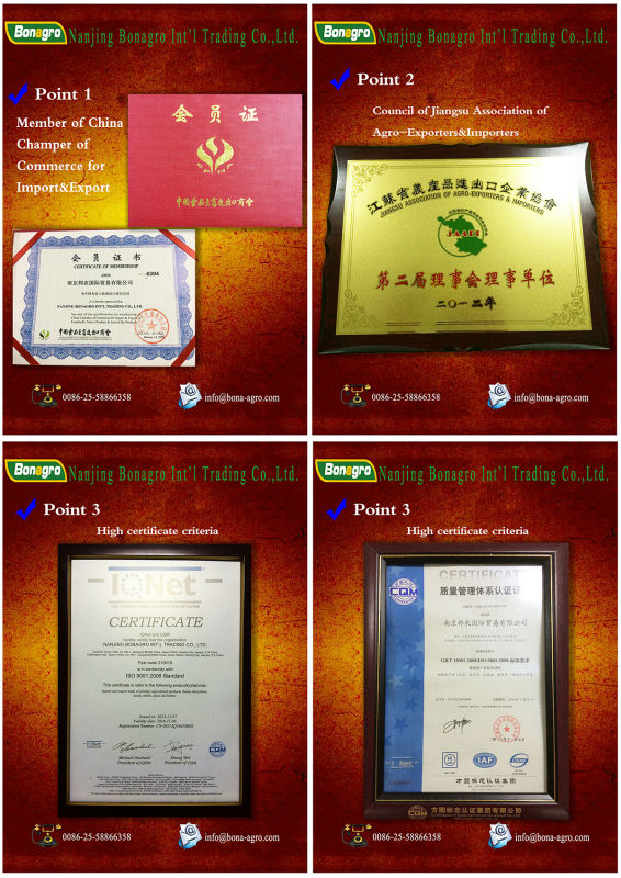 yunnan origin popular raw coffee bean for roasting