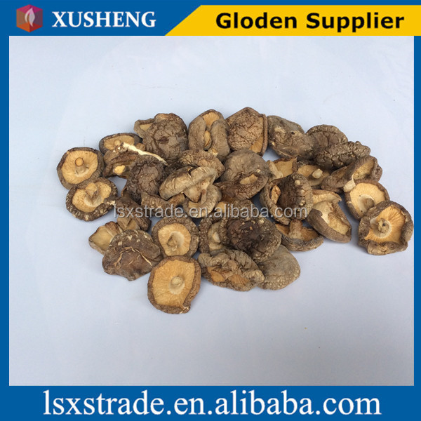 shiitake mushroom with cheap price(B)