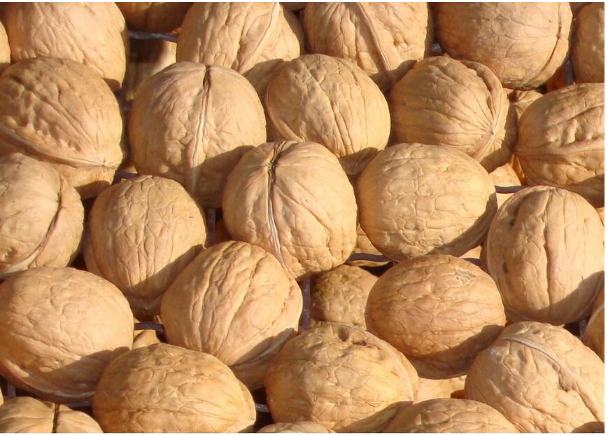 walnuts