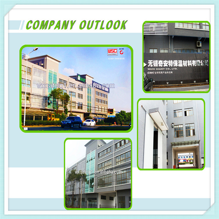 GIANT COMPANY OUTLOOK