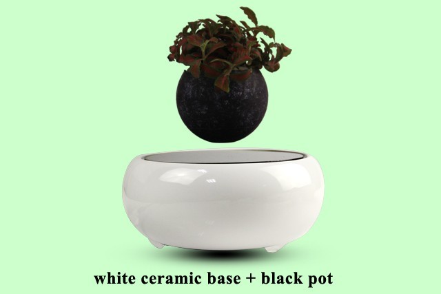 Vietnam bonsai shelf plastic bonsai pots fly in thre air