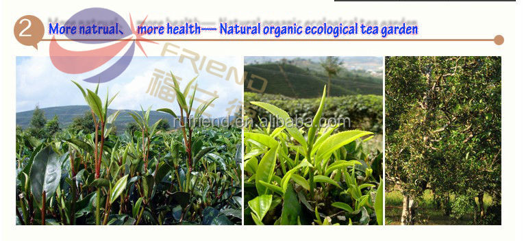 Cool and refreshing healthy compressed rose tea
