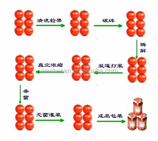 Tomato paste concentrate 36-38%