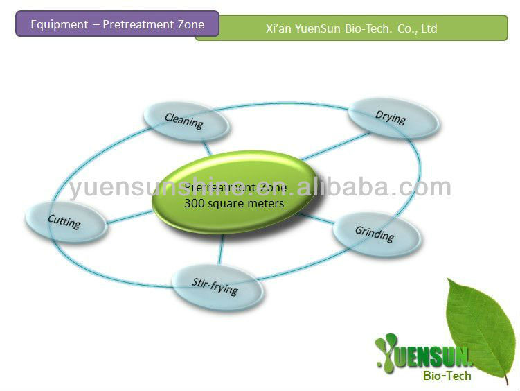 GMP green tea extraction polyphenols powder