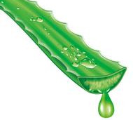 M-Houssy Premium aloe vera juice flavor