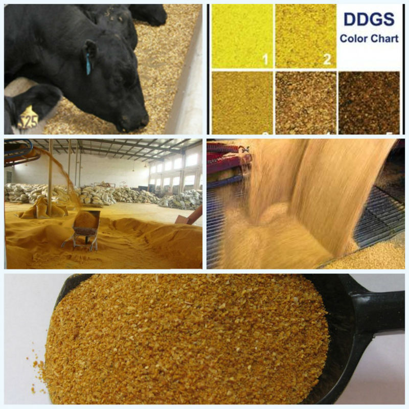 Animal Feed Concentrate Buy Animal Feed Concentrate,Animal Feed