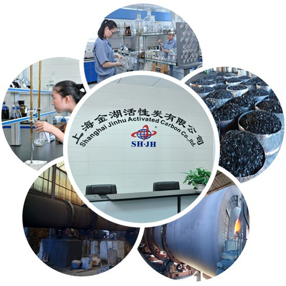 Water Filter Inline Coconut Activated Carbon
