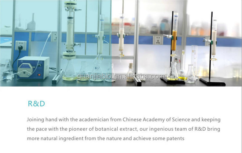 GMP Natural 20% HPLC Cocoa Extract Powder