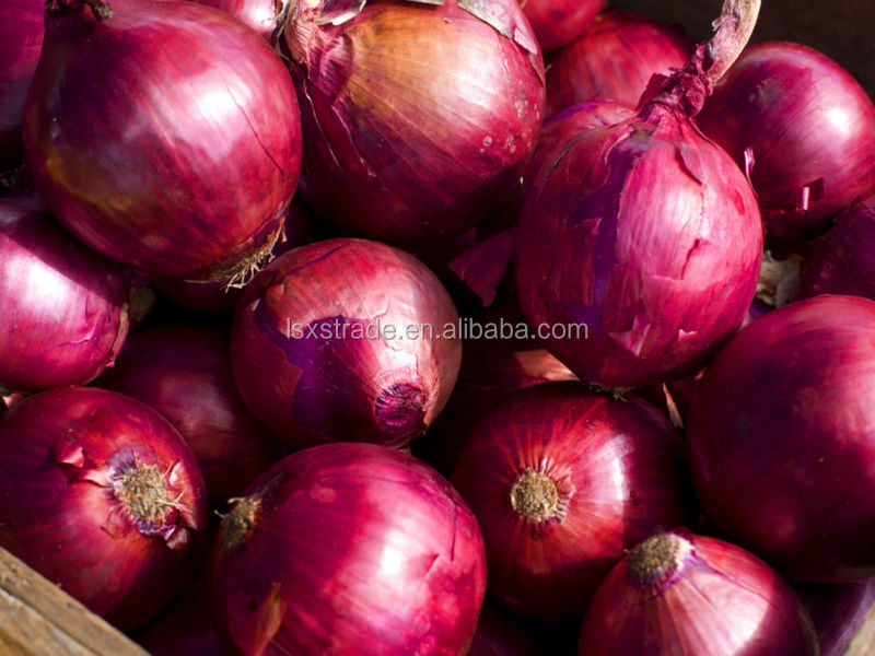 2014 fresh red onions for sale(H)