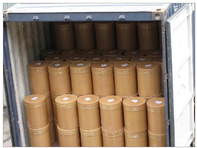 Export ganoderma lucidum canned straw mushroom to belgium