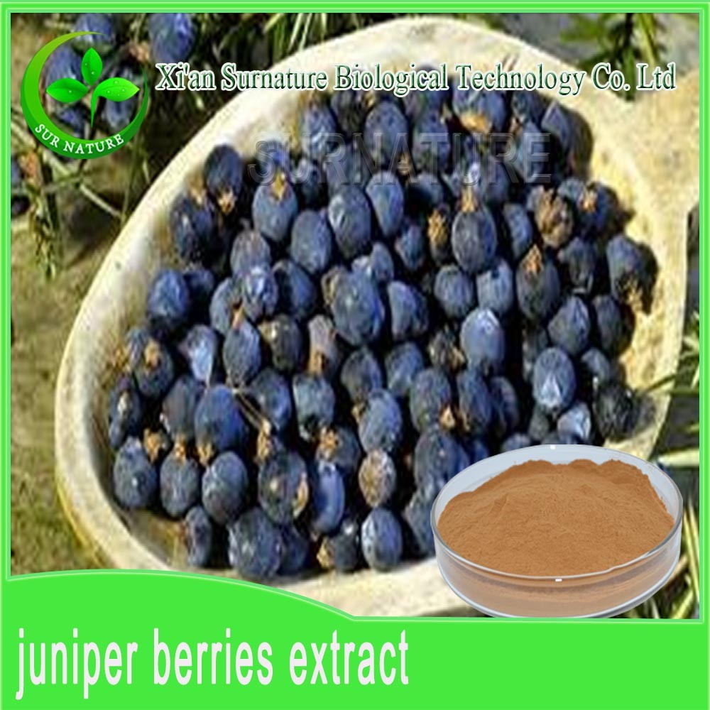 gmp supply juniper berries powder/ juniper extract