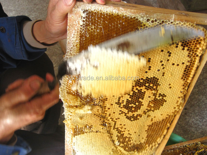 2014 Fresh Honey