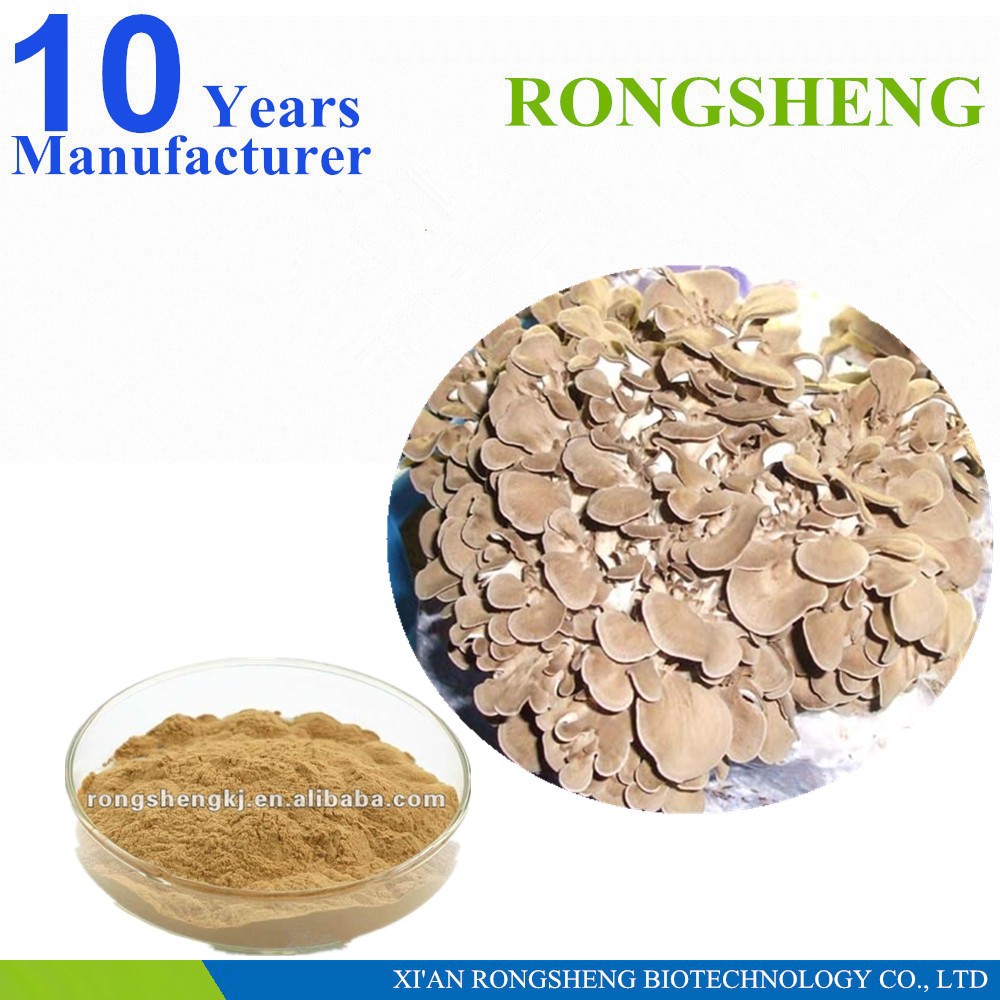 Good Quality Polysaccharide Maitake Mushroom Extract Buy Pmushroom