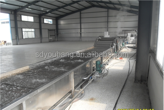 automatic food double layer pasteurization equipment