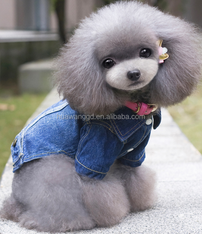 Hotstyle Fashion Cool Blue Jeans Clothes For Male Dogs,Spring Jeans