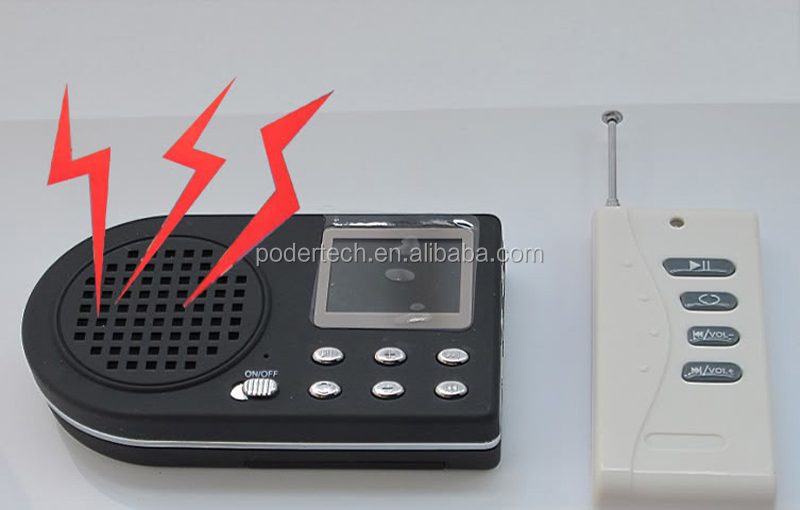 Bird MP3 Player