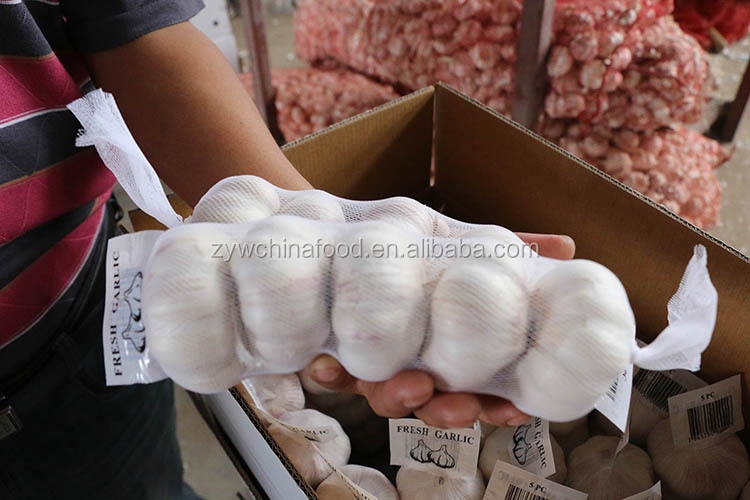 Pure White Garlic / Fresh Garlic / Normal White Garlic