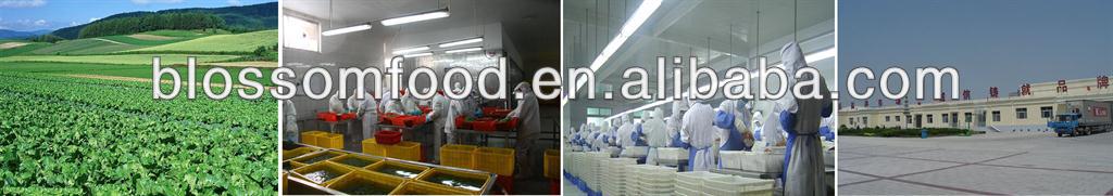 China bulk fresh bulk frozen color pepper