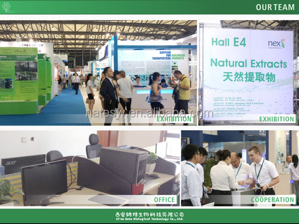 Extract Of Ginkgo biloba extract EP grade from honest suppliers