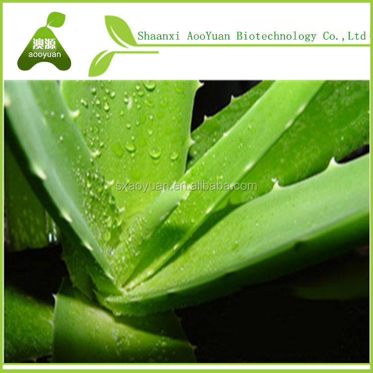 Aloe vera extract, Aloe vera dried powder100:1, 200:1, Aloin 10%, 20%