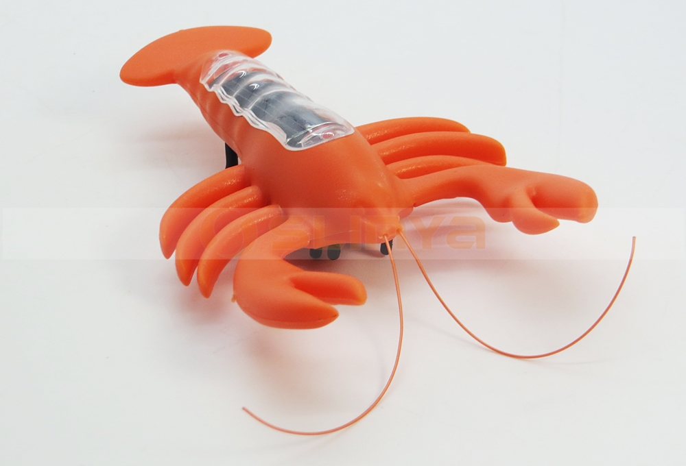 Solar Beetle 8026 150917 (27).JPG