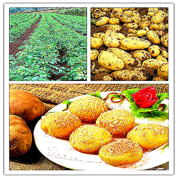 goog potato varieties favored by foreign buyers