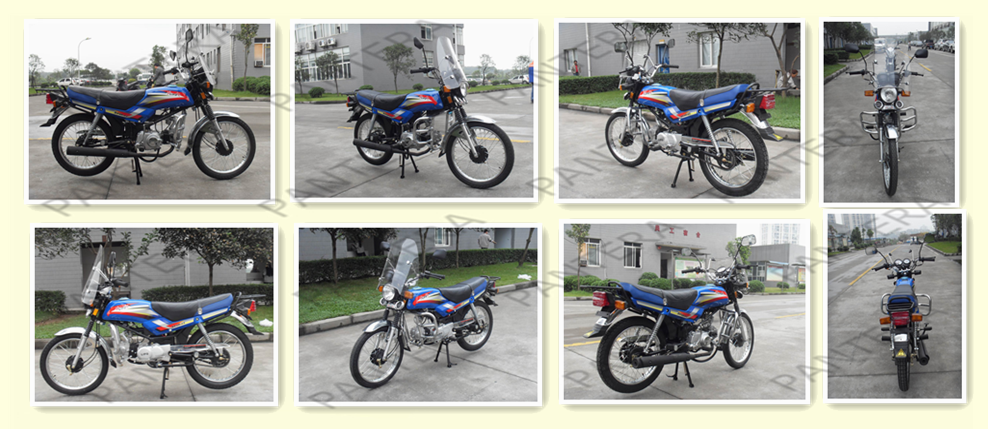 Durable Hot Sale Street Model Motorcycle 125cc China (1).png