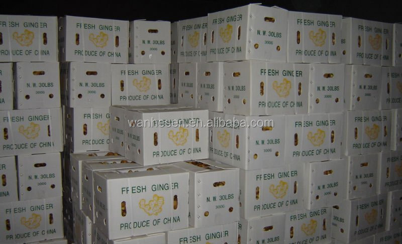 cheap price of fresh ginger in egypt