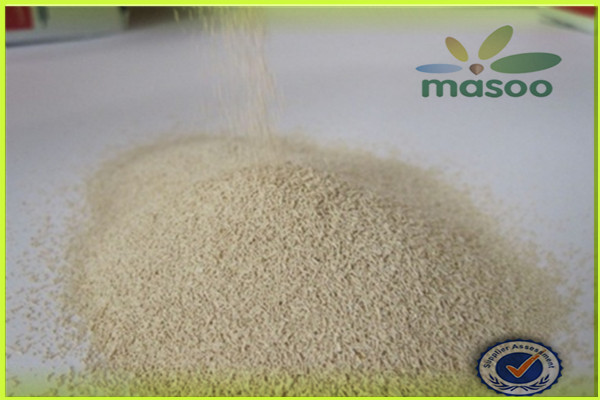 Saf Instant Yeast