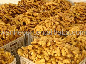 factory fresh ginger, quality fresh ginger, half dry ginger -air dry ginger