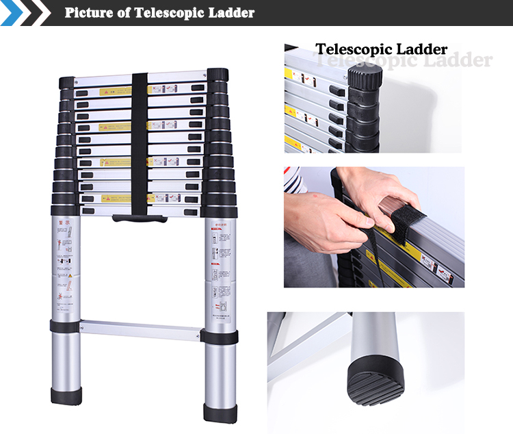 Telescopic Ladder 08.jpg