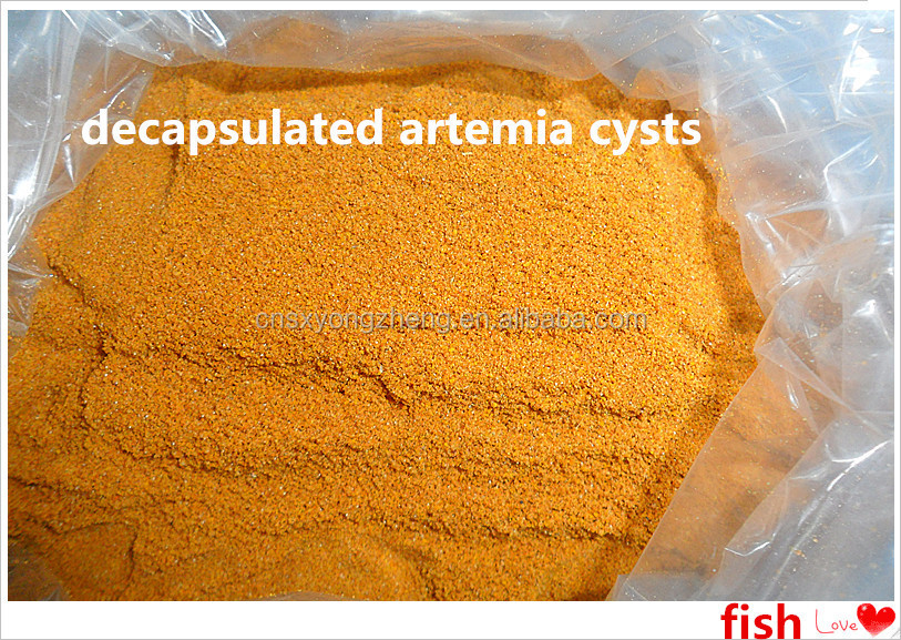 decapsulated artemia cysts / fish feed