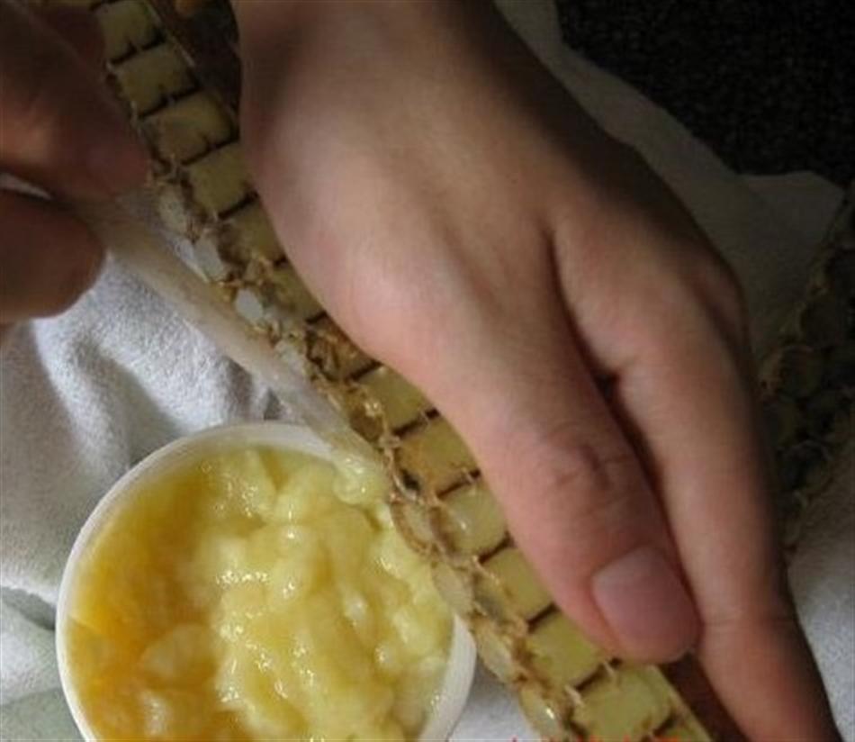 Top quality Royal jelly, free sample,KOSHER HALAL certified manufacture